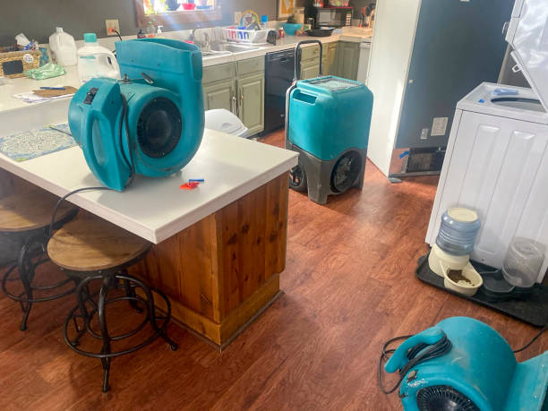 Best Sewage cleanup and water damage restoration  in Bernardsville, NJ