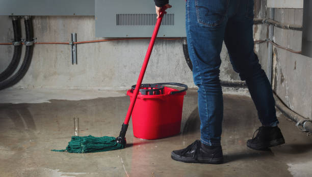  Bernardsville, NJ Water damage restoration Pros