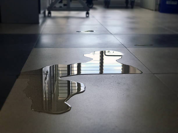 Best Water damage contractors near me  in Bernardsville, NJ
