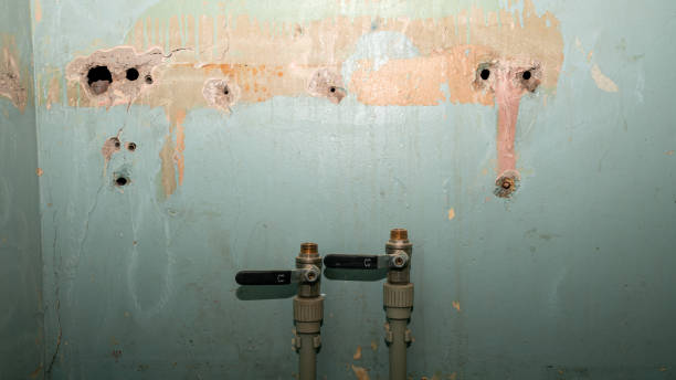 Water damage restoration mold remediation in Bernardsville, NJ